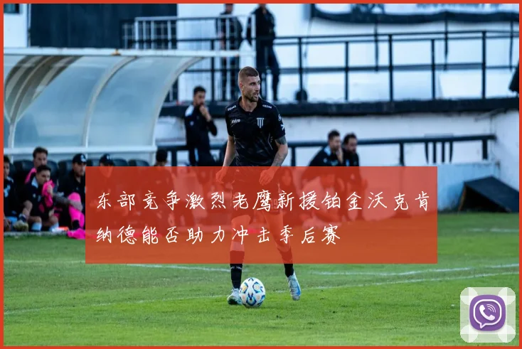 东部竞争激烈老鹰新援铂金沃克肯纳德能否助力冲击季后赛