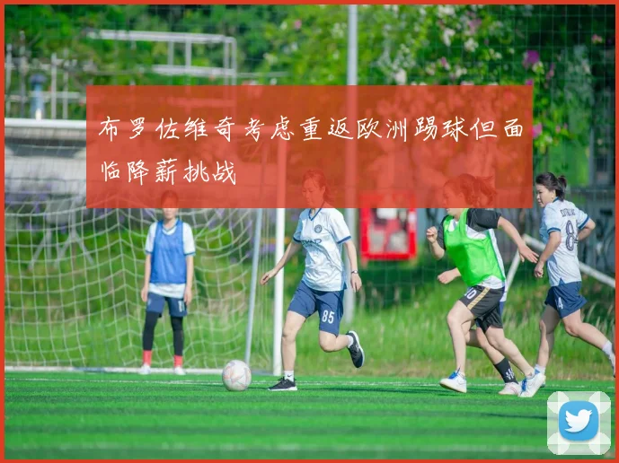 布罗佐维奇考虑重返欧洲踢球但面临降薪挑战