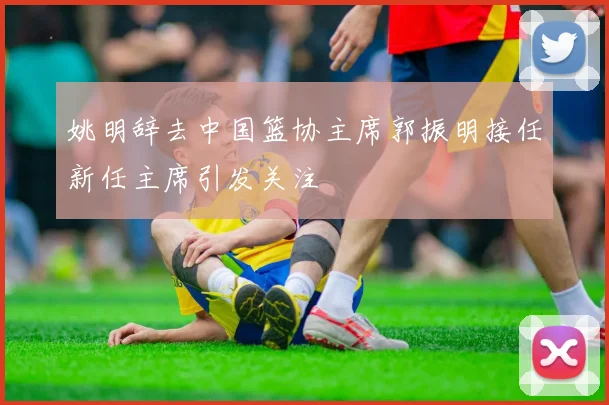 姚明辞去中国篮协主席郭振明接任新任主席引发关注