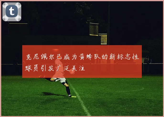 克尼佩尔已成为黄蜂队的新标志性球员引发广泛关注
