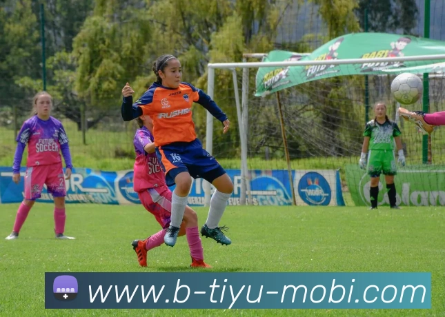 B体育APP 封面图